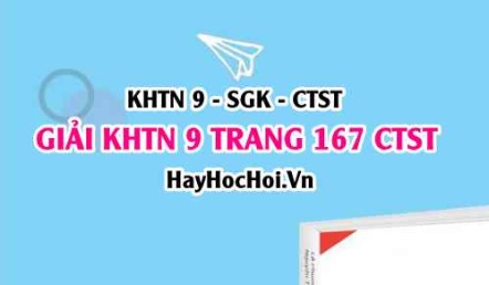 Giải KHTN 9 trang 167 Chân trời sáng tạo SGK